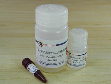 免疫荧光染色试剂盒-抗小鼠FITC
